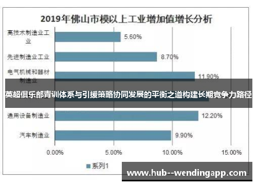 英超俱乐部青训体系与引援策略协同发展的平衡之道构建长期竞争力路径